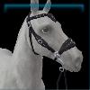 London Fog hackamore