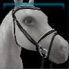 Galactic Glamour English bridle