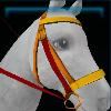 Goldenleaf bridle