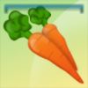 Carrot