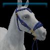 Starry Night hackamore