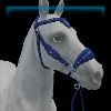 Moonlit Night hackamore