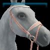 Royal Ascot English bridle