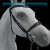 Sage Silks English bridle
