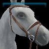 Ivory Sun silver flash noseband bridle