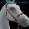 Ivory Sun silver English bridle