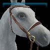 Ivory Sun gold English bridle
