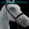 Forest Whisperer English bridle