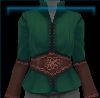 Elite Forest Whisperer tunic