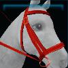 Castle bridle