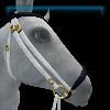 Monochrome drop noseband bridle