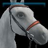 Tangerine Silks English bridle