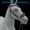 Stylish Stroller hackamore