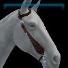 Denim Daredevil bridle