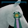 2024 Silverglade Legacy Ribbon