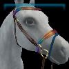 Rainbow Shade English bridle