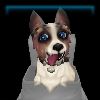 Tricksy Terrier