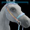 Cloud Chroma English bridle