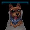 Archie