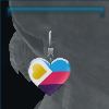 Pride earrings