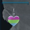Pride earrings