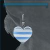 Pride earrings