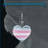 Pride earrings
