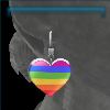 Pride earrings