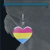 Pride earrings