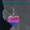 Pride earrings