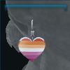 Pride earrings