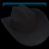 Dakota Western hat