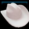 Adelaide Western hat