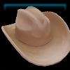 Jess Western hat