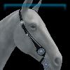 Dakota Western bridle