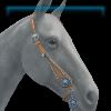 Jess Western bridle