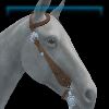 Maverick Western bridle