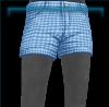 Desert Skies shorts