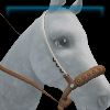Desert Skies bosal
