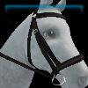 Moorland English bridle