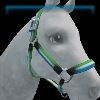 Jorvik flag halter