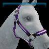 Orchid purple Rex Stamper halter
