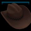 Western hat in brown