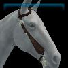 Western bridle in brown