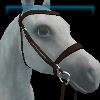 Essential brown English bridle