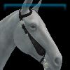 Western bridle in black