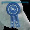 Jorvik Blue Ribbon - Season 1