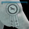 Jorvik Frost Ribbon - Season 1