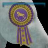 Jorvik Champion Ribbon - Season 1