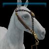 Gilded Glamour medallion bridle